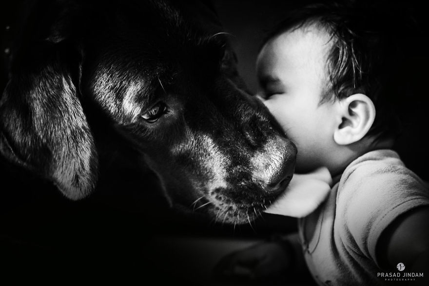 Очаровательные малыши в компании своих самых верных друзей ребёнок и собака, ребёнок с собакой