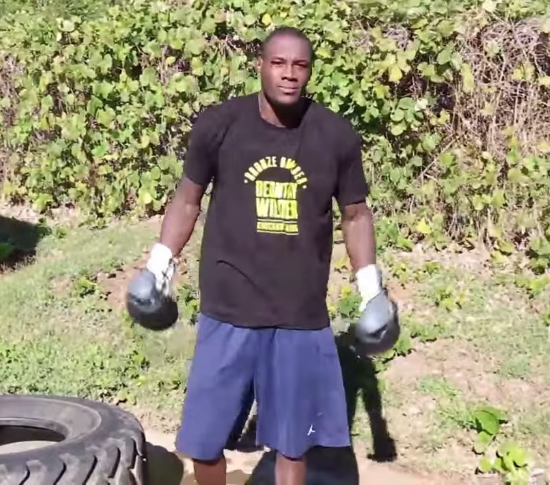 боксер подрался с фаном, Деонтей Уайлдер подрался с фаном,  Деонтей Уайлдер бьет вентилятор, Deontay Wilder