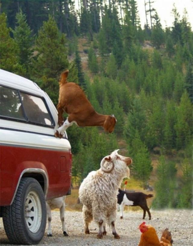 физика ломает сознание, трюки с законами физики, физика фотографии