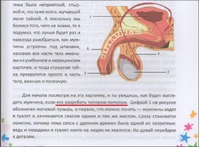 Позитив, юмор, смешные фотографии,прикол