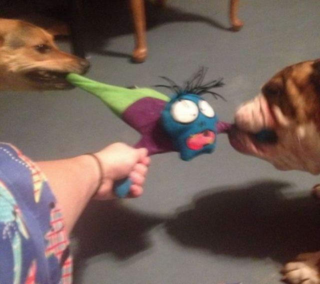 Позитив, юмор, смешные фотографии,прикол