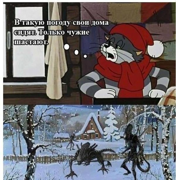 Позитив, юмор, смешные фотографии,прикол