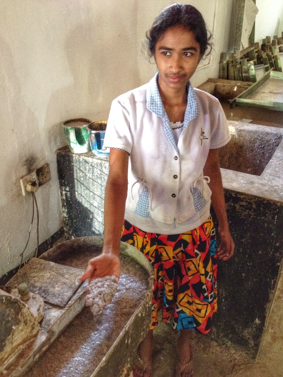 Необычный бизнес, слоновий помёт, бумага из какашек, шри-ланка