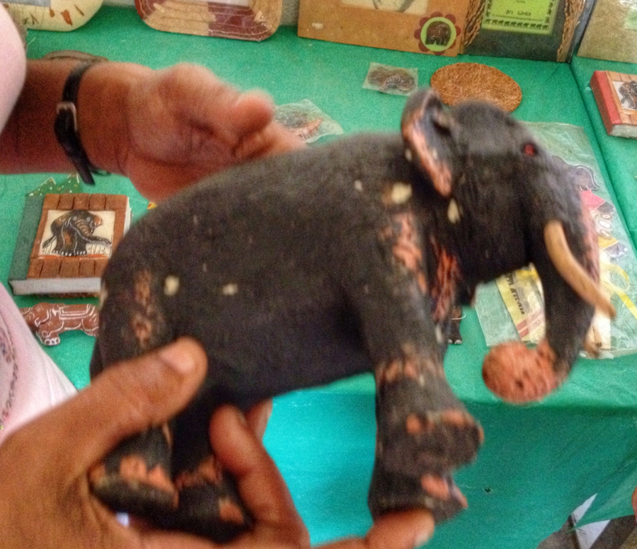 Необычный бизнес, слоновий помёт, бумага из какашек, шри-ланка