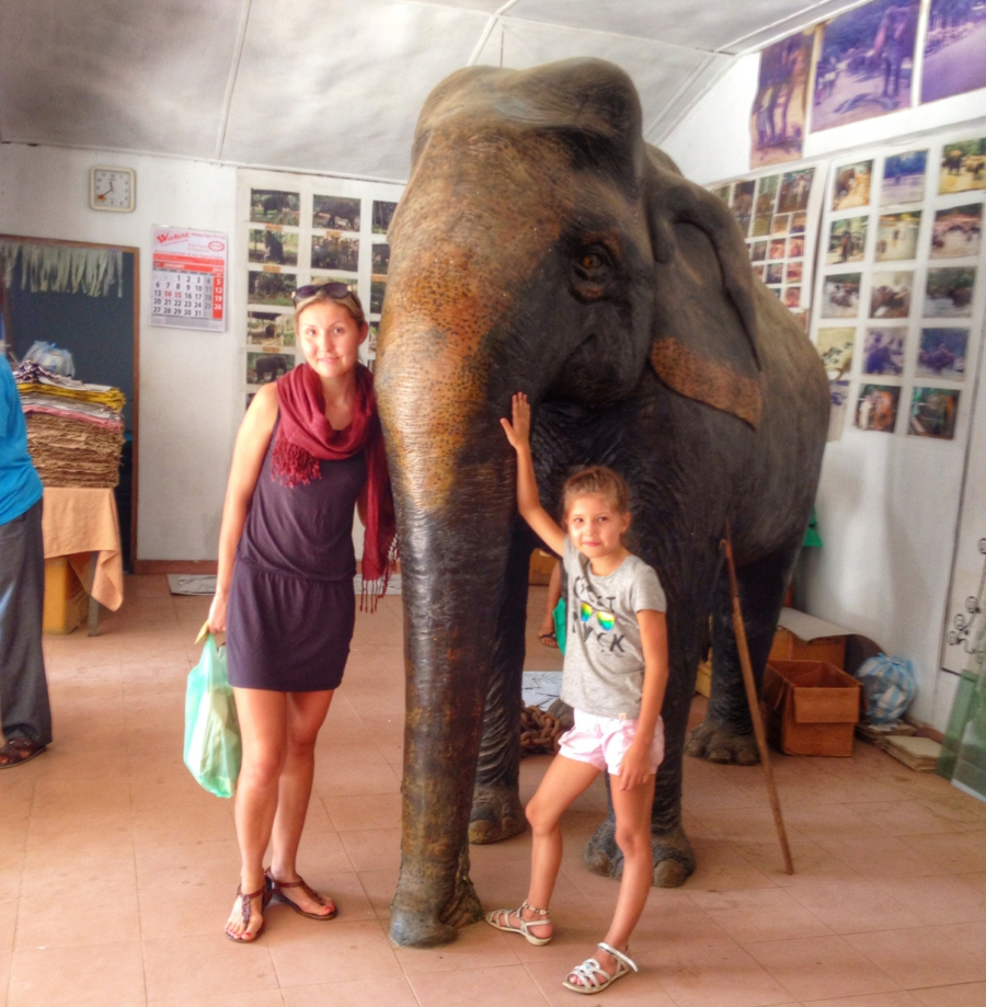 Необычный бизнес, слоновий помёт, бумага из какашек, шри-ланка