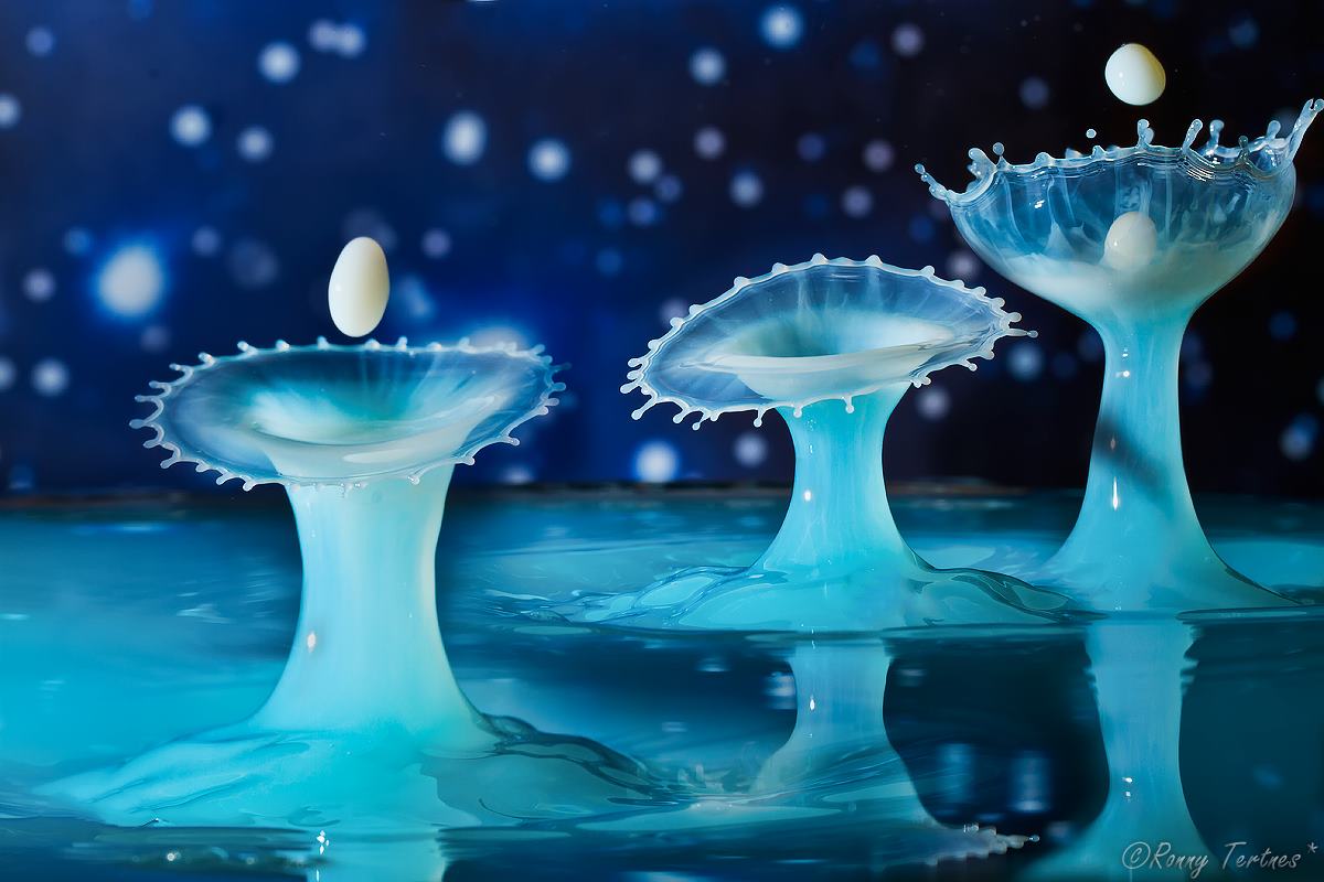 Жидкие скульптуры, Ронни Тертнес , Ronny Tertnes