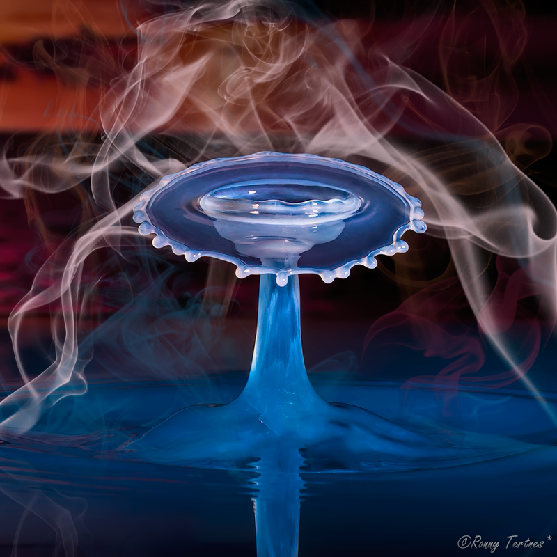 Жидкие скульптуры, Ронни Тертнес , Ronny Tertnes