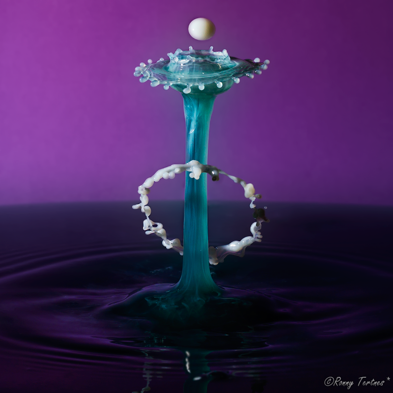 Жидкие скульптуры, Ронни Тертнес , Ronny Tertnes