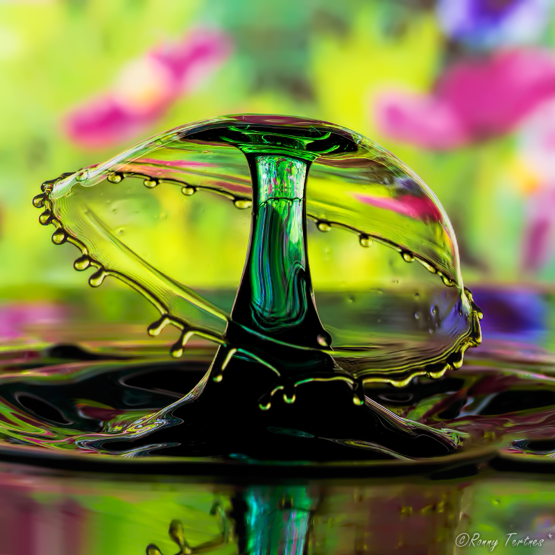 Жидкие скульптуры, Ронни Тертнес , Ronny Tertnes