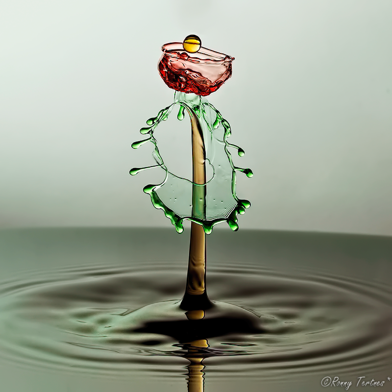 Жидкие скульптуры, Ронни Тертнес , Ronny Tertnes