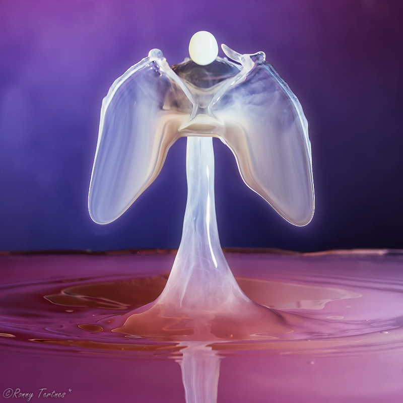 Жидкие скульптуры, Ронни Тертнес , Ronny Tertnes