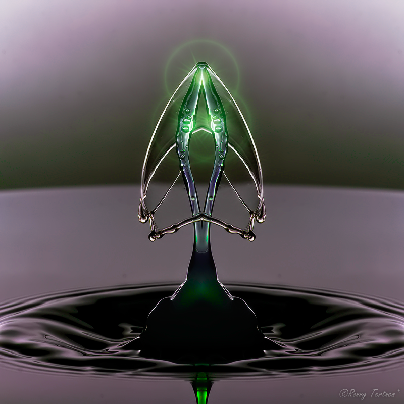 Жидкие скульптуры, Ронни Тертнес , Ronny Tertnes