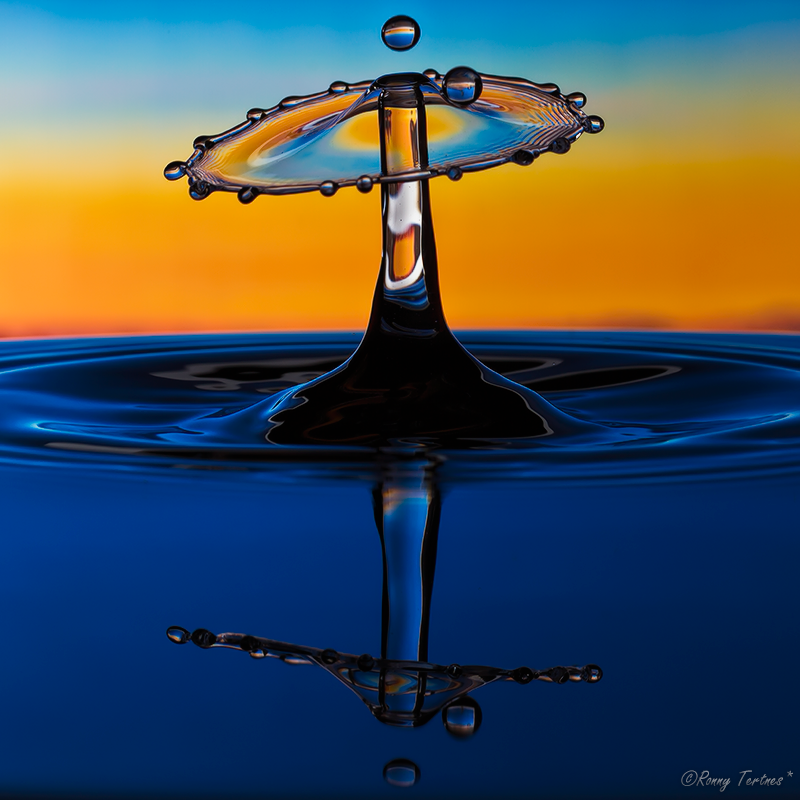 Жидкие скульптуры, Ронни Тертнес , Ronny Tertnes