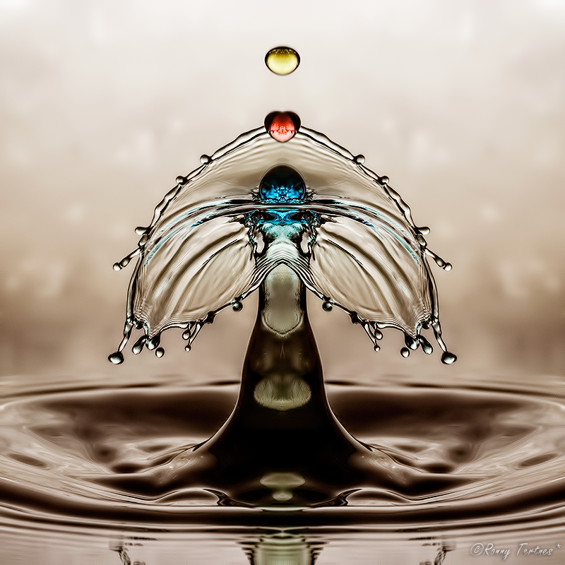 Жидкие скульптуры, Ронни Тертнес , Ronny Tertnes