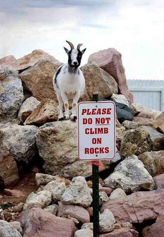 Беспредельщики! III Смешные фото, люди нарушают, запреты,законы, делают что хотят