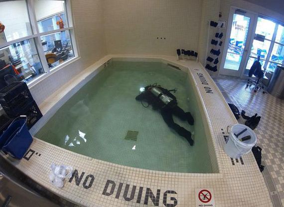 Беспредельщики! III Смешные фото, люди нарушают, запреты,законы, делают что хотят