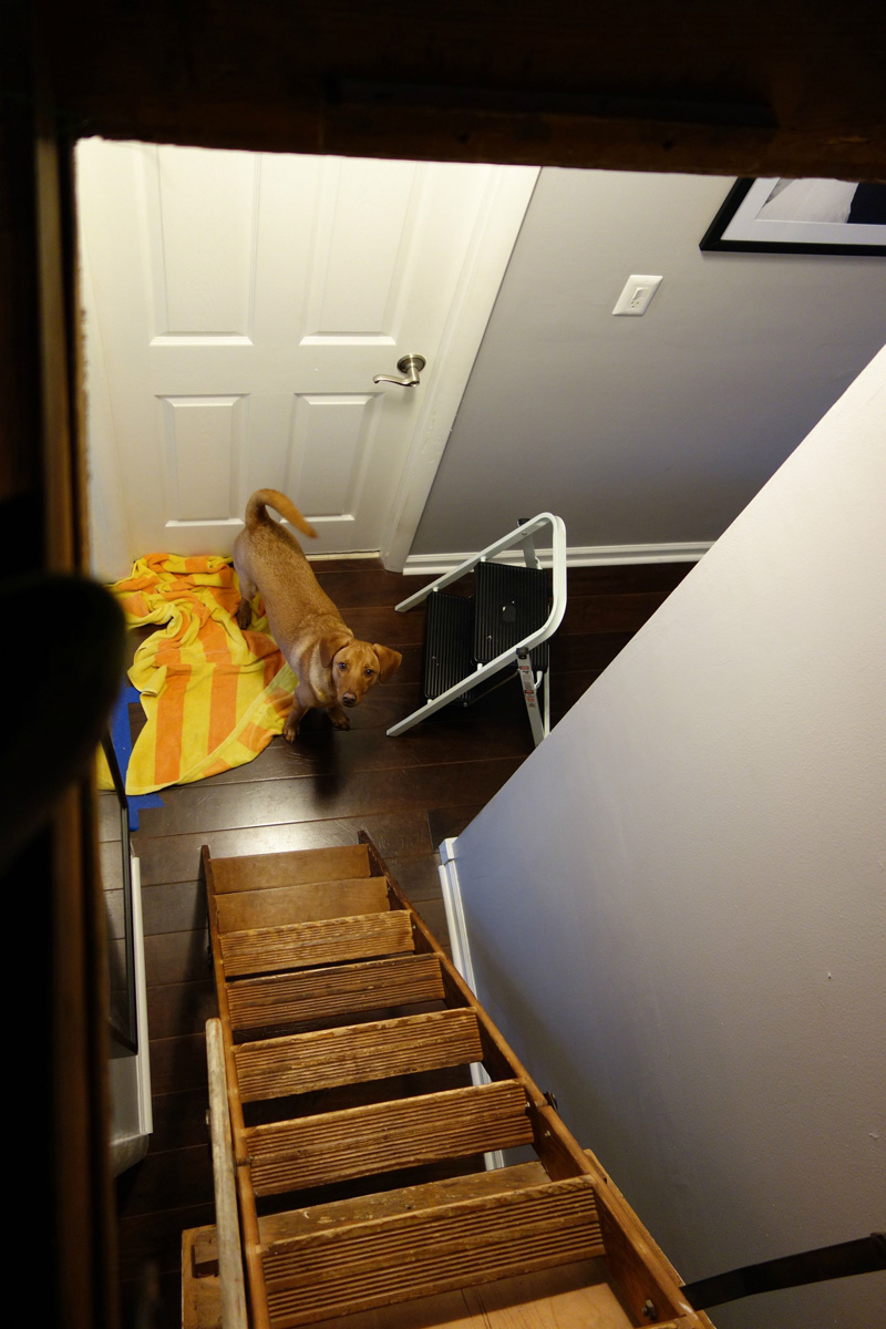 Звездное небо, в комнате будущего ребенка, сына, своими руками