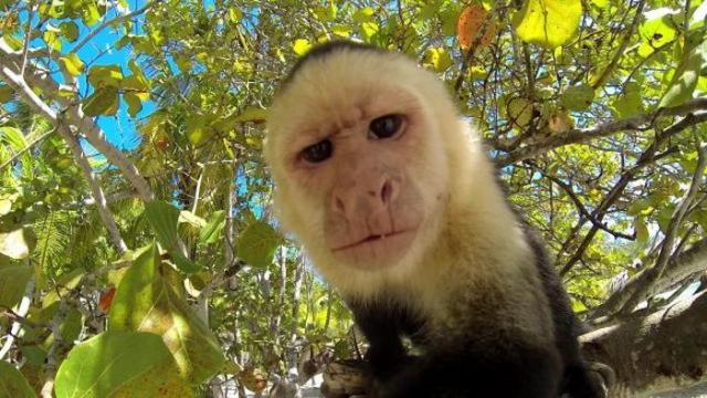 Позитив, юмор, смешные фотографии,прикол