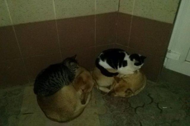 Позитив, юмор, смешные фотографии,прикол