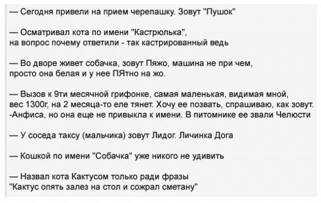 Позитив, юмор, смешные фотографии,прикол