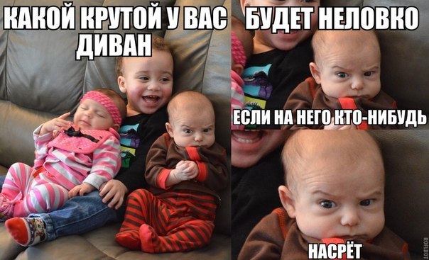 Позитив, юмор, смешные фотографии,прикол