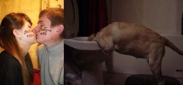 Позитив, юмор, смешные фотографии,прикол