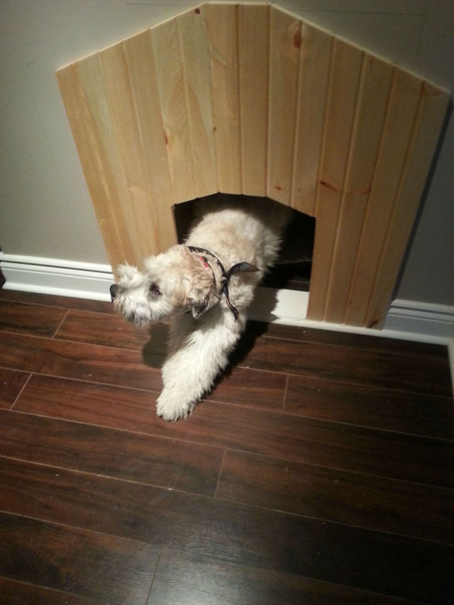 конура у себя дома, домик для собаки, своими руками, будка для собаки дома