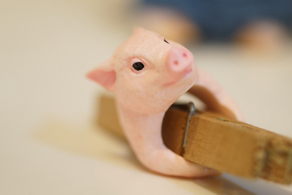 Очаровательные кольца в виде животных от Дзиро Миура животные кольца, художник Дзиро Миура, Jiro Miura, скульптуры из полимерной шлины