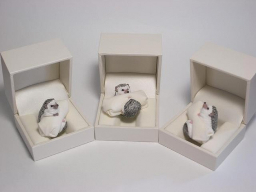 Очаровательные кольца в виде животных от Дзиро Миура животные кольца, художник Дзиро Миура, Jiro Miura, скульптуры из полимерной шлины