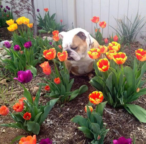 Эмоциональные фотографии волнующие до глубины души XXI Эмоциональные фотографии, волнующие до глубины души, трогательные снимки