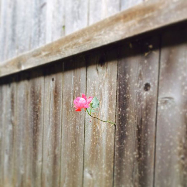 Эмоциональные фотографии волнующие до глубины души XXI Эмоциональные фотографии, волнующие до глубины души, трогательные снимки