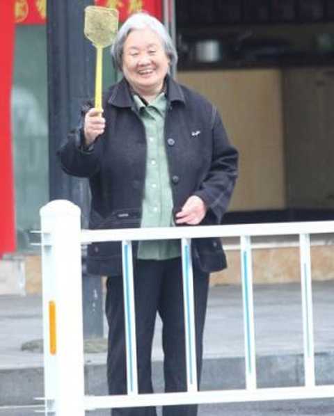 Странное увлечение одной китайской пенсионерки бабушка убивает мух, Руан Тан, Ruan Tang