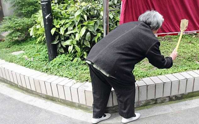 Странное увлечение одной китайской пенсионерки бабушка убивает мух, Руан Тан, Ruan Tang