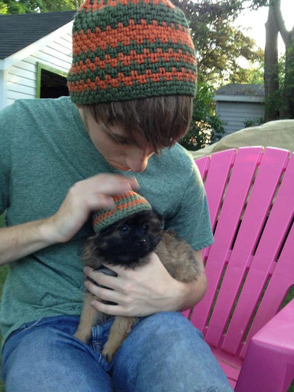 что яблочко от яблони недалеко падает, кровная связь, дети как родители, дети похожие на своих родителей