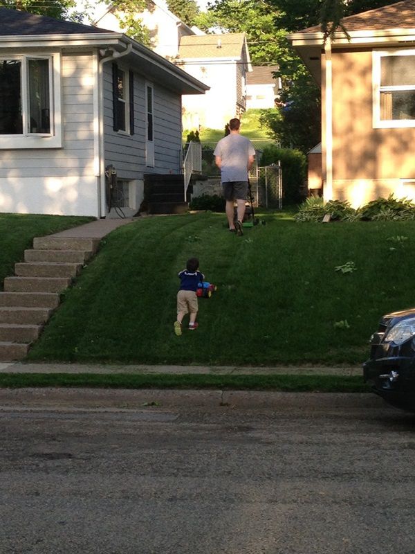 что яблочко от яблони недалеко падает, кровная связь, дети как родители, дети похожие на своих родителей