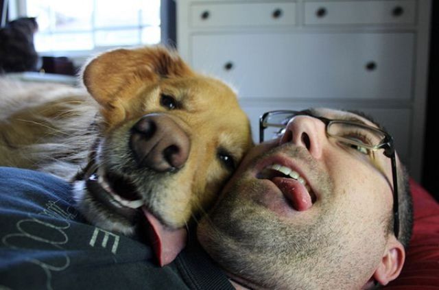 что яблочко от яблони недалеко падает, кровная связь, дети как родители, дети похожие на своих родителей