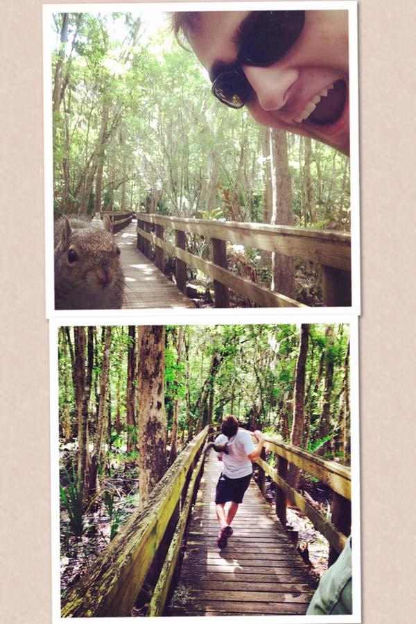 Смешные и интересные селфи, которые были сделаны не в самый удачный момент смешные селфи, селфи в неудачный момент, удивительные селфи, самострелы