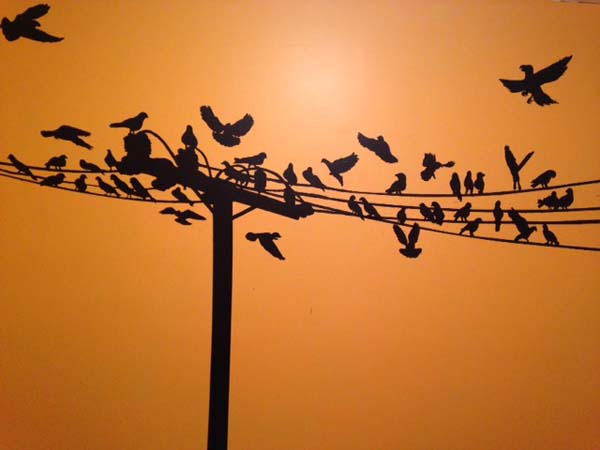 Быстрый и красивый ремонт в комнате бессовестного соседа рисунок на стену с помощью праектора, быстрый и красивый ремонт, как перенести рисунок на стену, перенести эскиз на стену