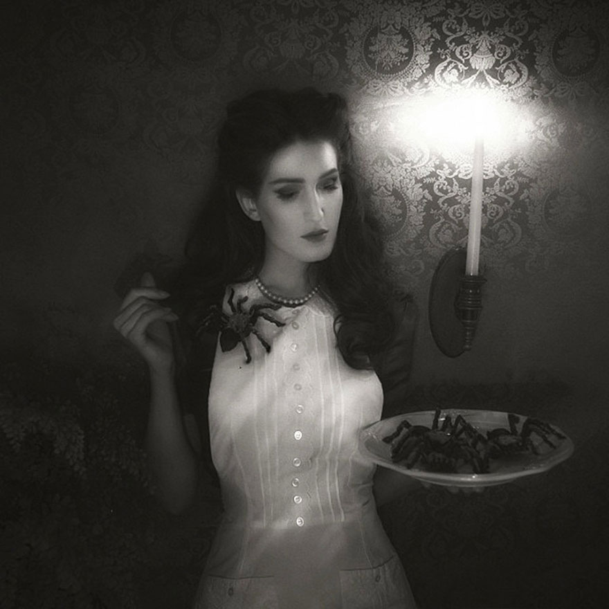 Christine McConnell Кристины Макконнелл, торты Кристины Макконнелл