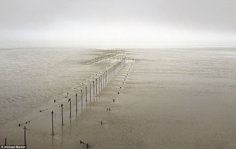 Радикальная разница между фотографиями берегов во время приливов и во время отливов разница приливы отливы, Майкл Мартен,Michael Marten, фотографии до и после прилива отлива, приливы отливы фото