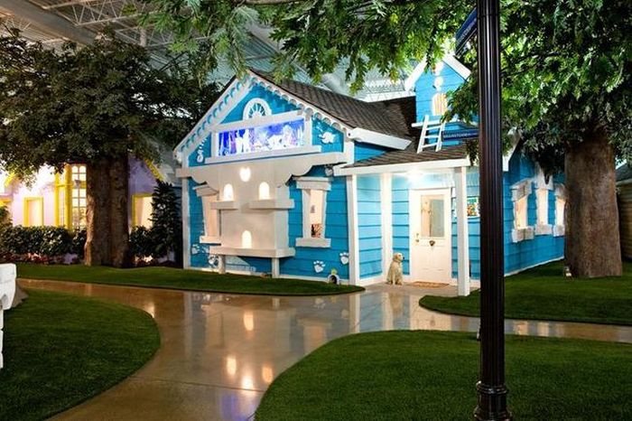 креативные офисы, необычные офисы мира, дизайн офисов