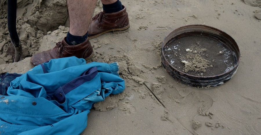 Художник закопал на пляже слитки золота, выкопать которые мог каждый Художник закопал на пляже слитки золота, Майкл Сэйлсторфер, Michael Sailstorfer