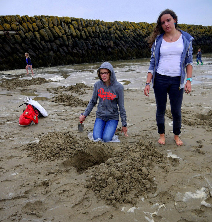 Художник закопал на пляже слитки золота, выкопать которые мог каждый Художник закопал на пляже слитки золота, Майкл Сэйлсторфер, Michael Sailstorfer