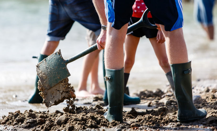 Художник закопал на пляже слитки золота, выкопать которые мог каждый Художник закопал на пляже слитки золота, Майкл Сэйлсторфер, Michael Sailstorfer