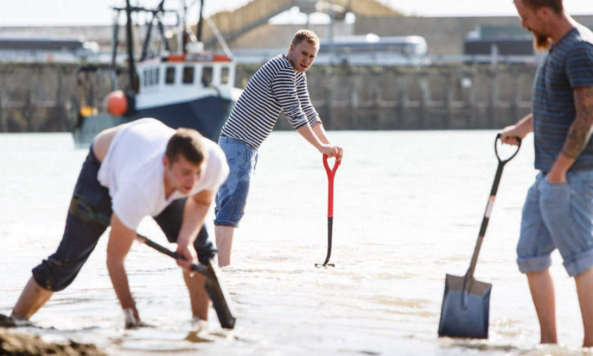 Художник закопал на пляже слитки золота, выкопать которые мог каждый Художник закопал на пляже слитки золота, Майкл Сэйлсторфер, Michael Sailstorfer
