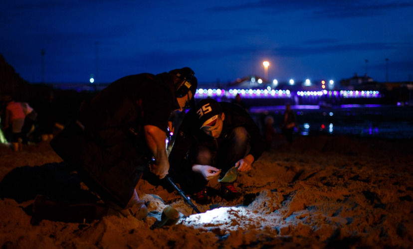 Художник закопал на пляже слитки золота, выкопать которые мог каждый Художник закопал на пляже слитки золота, Майкл Сэйлсторфер, Michael Sailstorfer