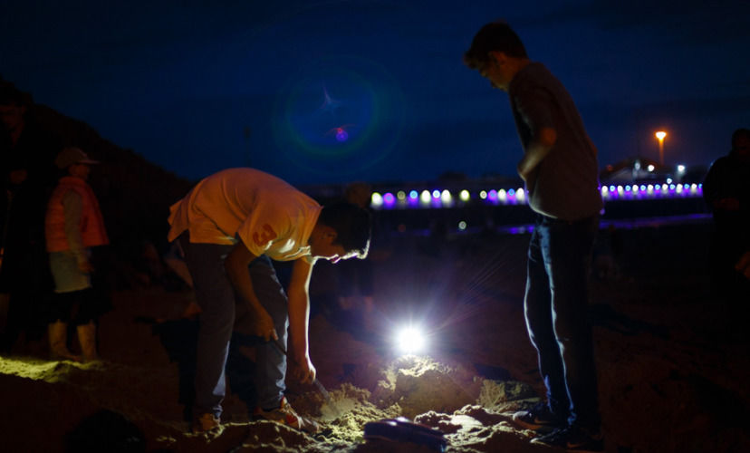 Художник закопал на пляже слитки золота, выкопать которые мог каждый Художник закопал на пляже слитки золота, Майкл Сэйлсторфер, Michael Sailstorfer