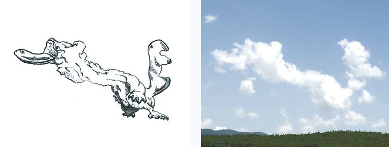 Превращает облака в персонажей, Мартин Фейхоо, Martín Feijo