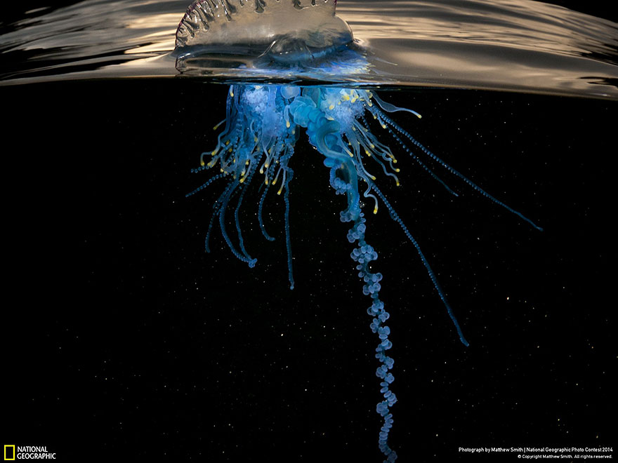 Лучшие работы Traveler Photo Contest 2014