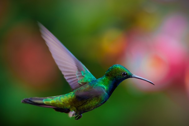 Лучшие работы Traveler Photo Contest 2014